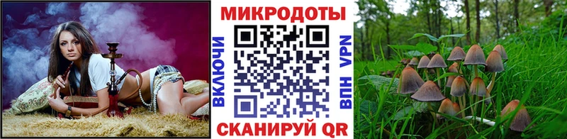 купить наркоту нарко площадка какой сайт Псилоцибиновые грибы прущие грибы Калининград